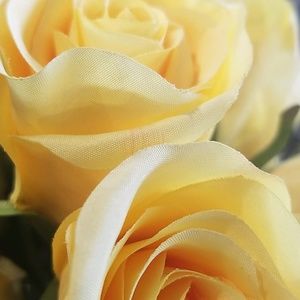 Meet your Posher, Reather